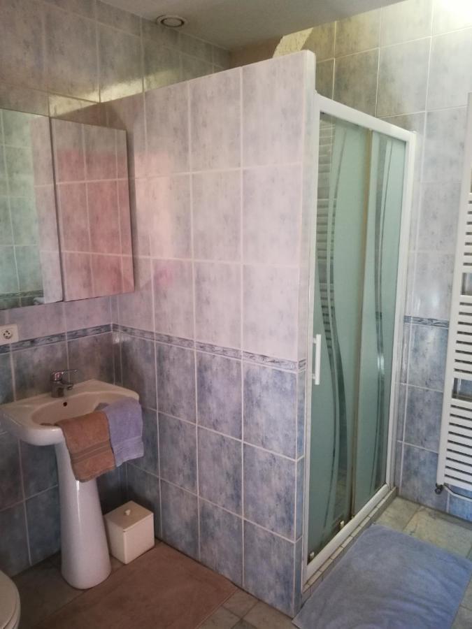 Saint-Pierre-la-Palud Chambres D'Hotes Le Clos المظهر الخارجي الصورة